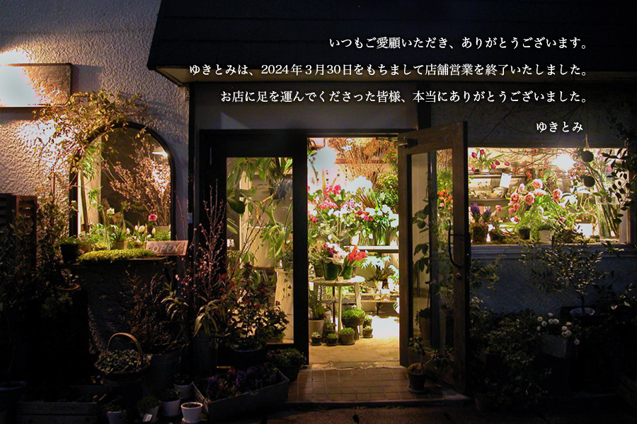ゆきとみ_Flower-and-Plants